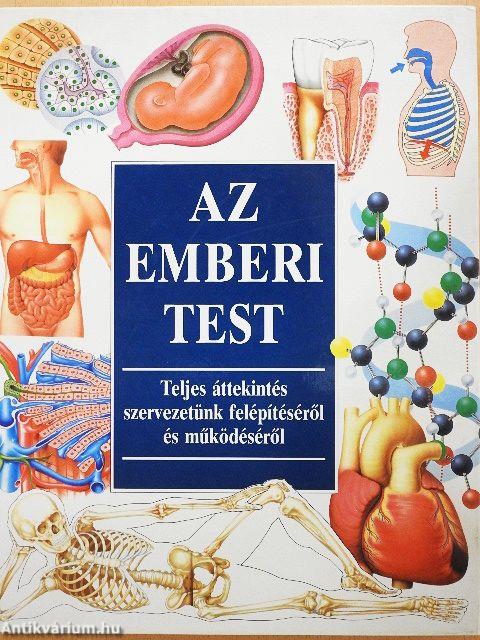 Az emberi test
