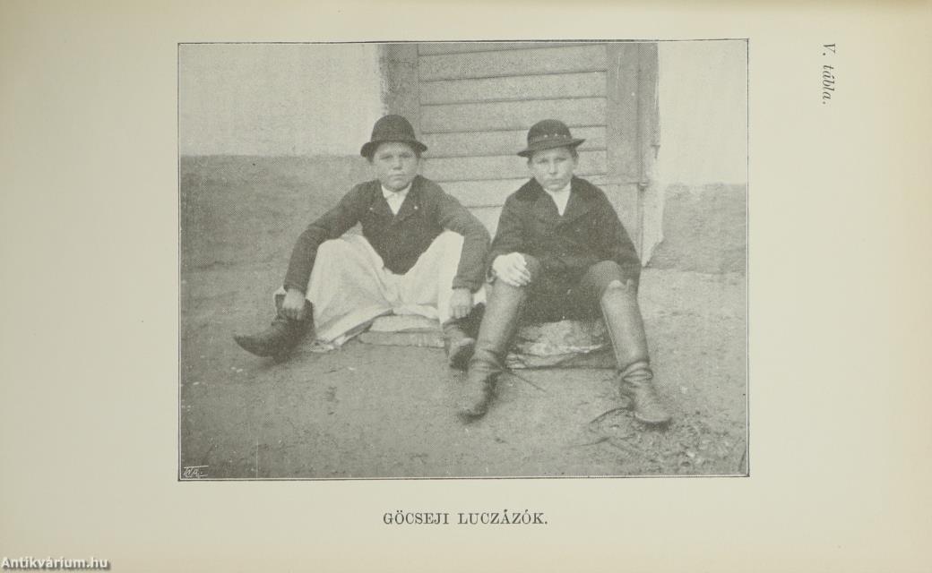 Dunántúli gyüjtés