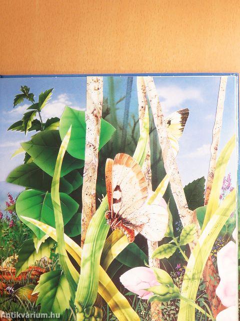 Rétek, legelők élővilága