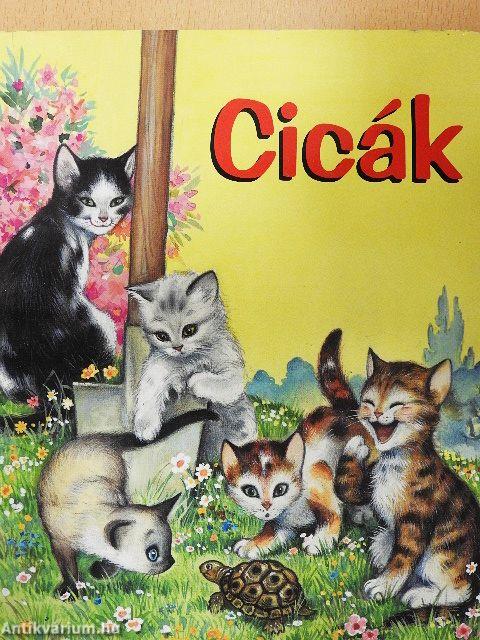 Cicák