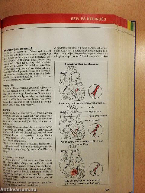 Nagy egészségkönyv
