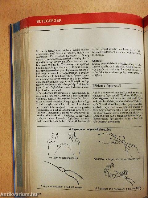 Nagy egészségkönyv