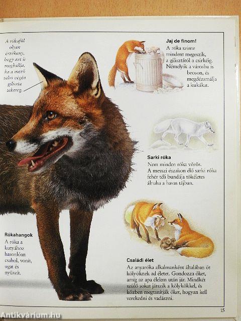 Csudálatos emlősök