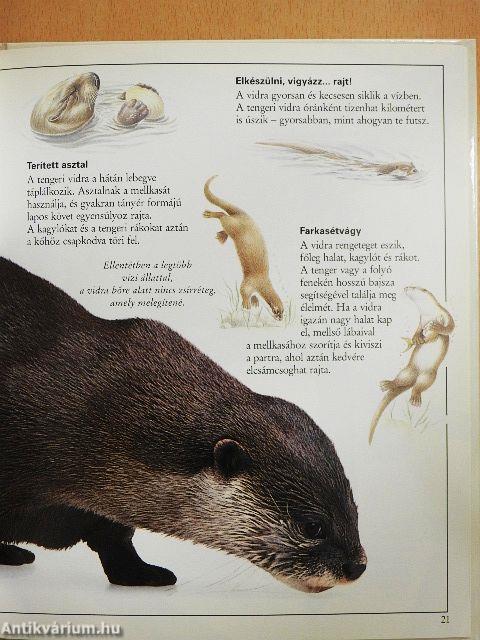 Csudálatos emlősök