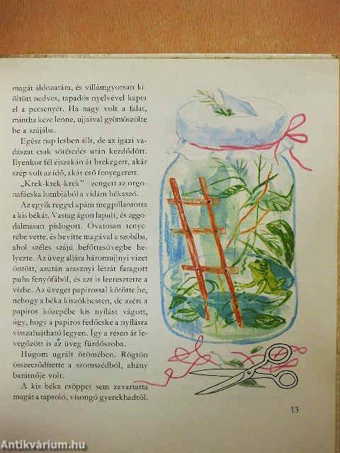 Pajtások a házban és a ház körül