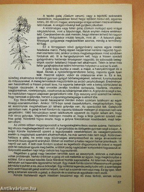 Egészség Isten patikájából