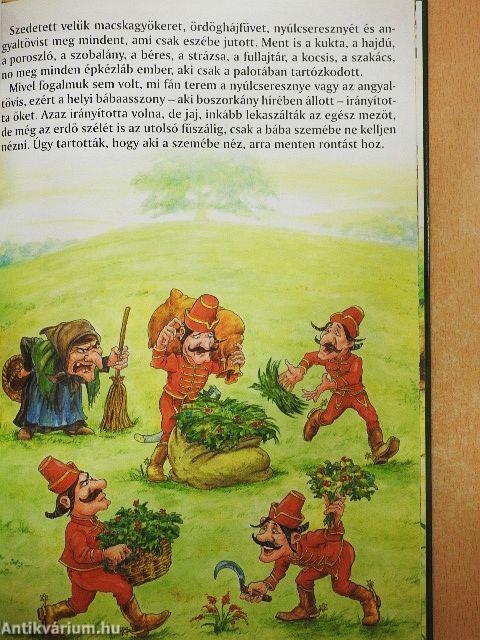 Ludas Matyi és más mesék