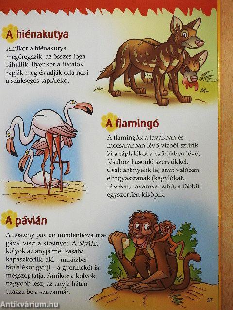 Az oroszlánkirály és a szavanna állatai