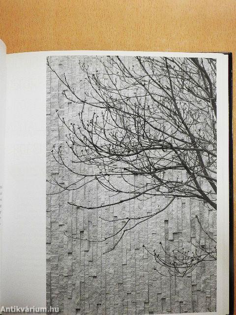 A határtalan város