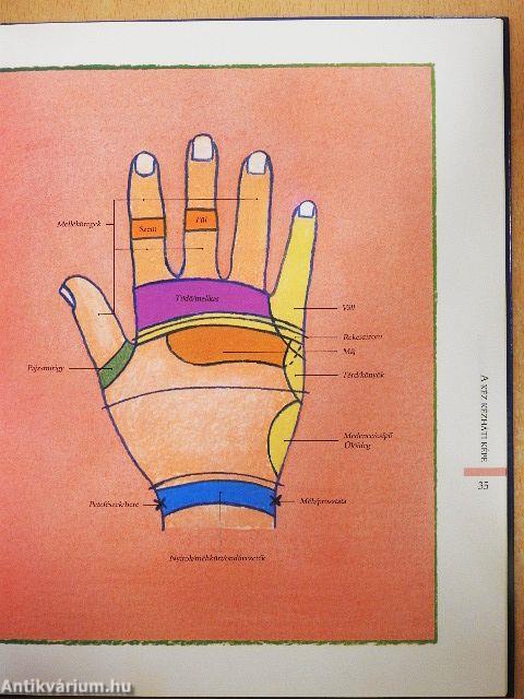 Reflexológia lépésről lépésre