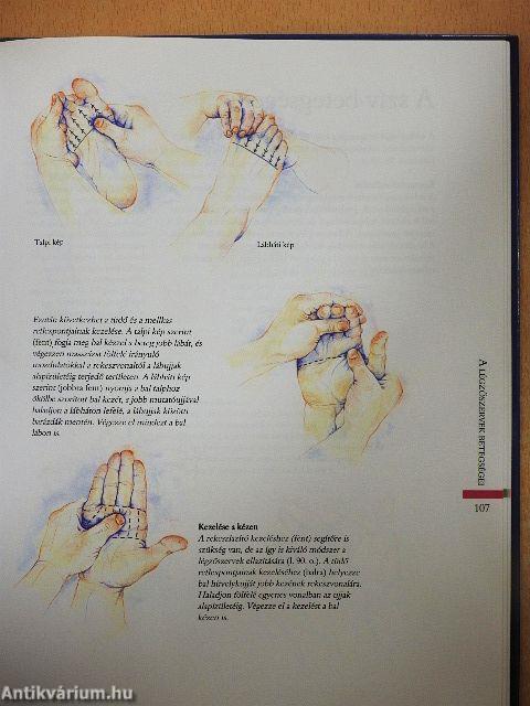 Reflexológia lépésről lépésre