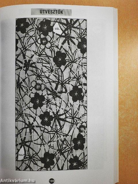 Nagy szellemi párbaj