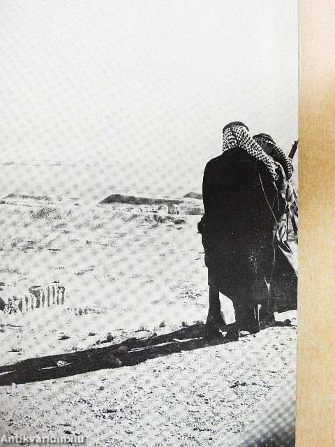 A nagy istennő városa