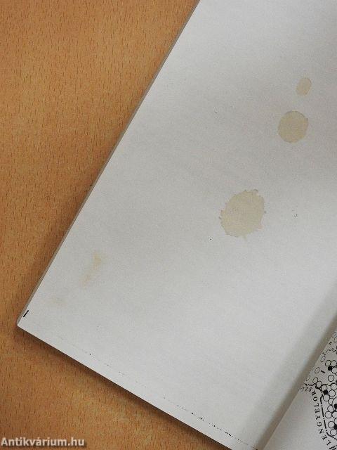 Bizánctól Bizáncig