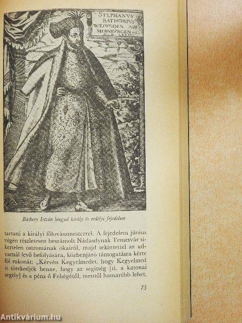 Az erős fekete bég