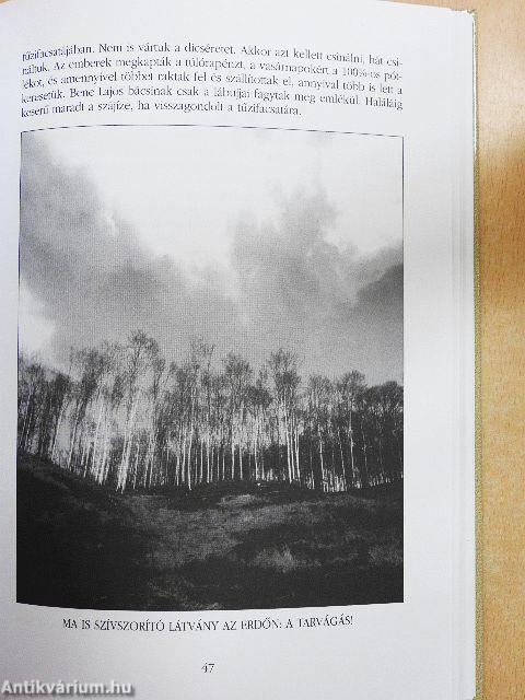 Erdészekkel a vadcsapákon