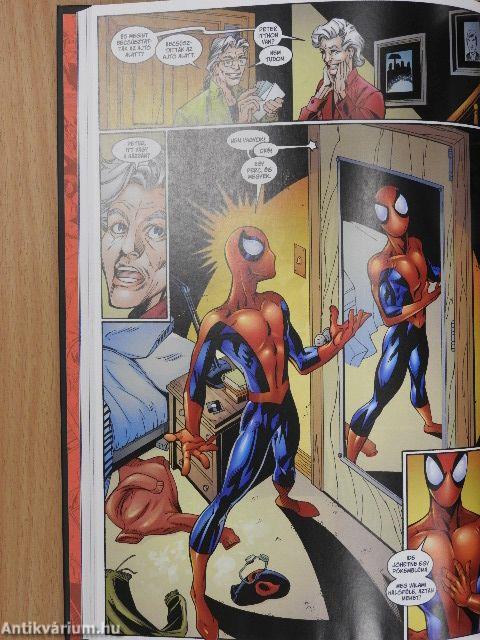 Újvilág: Pókember - Erő és felelősség