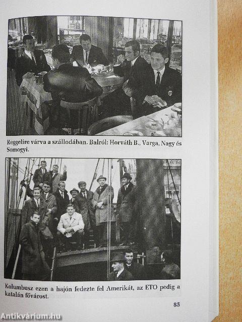 Felejthetetlen kupaszerdák