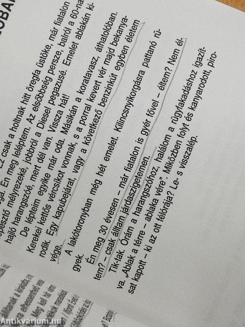 Küszöbön egy rongybagoly