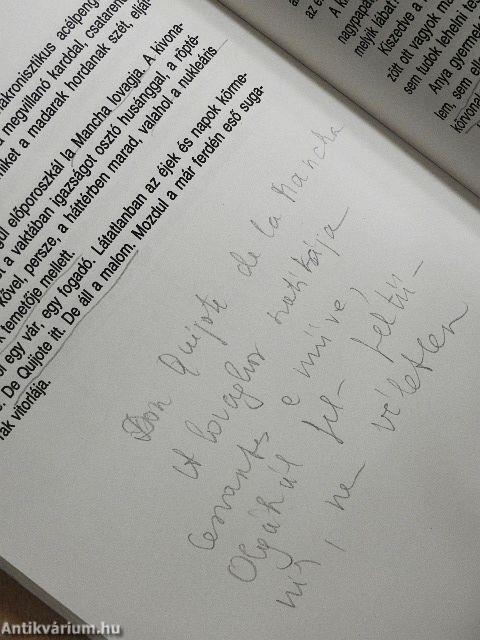 Küszöbön egy rongybagoly