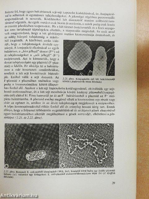 Mikrobiológia és immunitástan