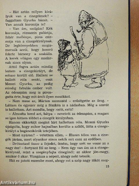 Kincskereső kisködmön