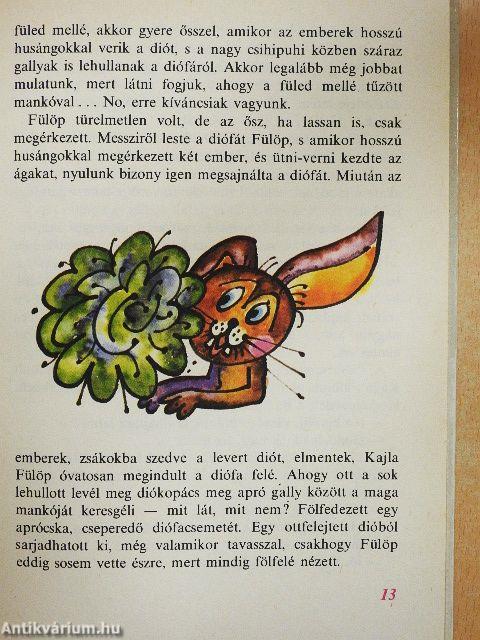 Kajla Fülöp kalandjai