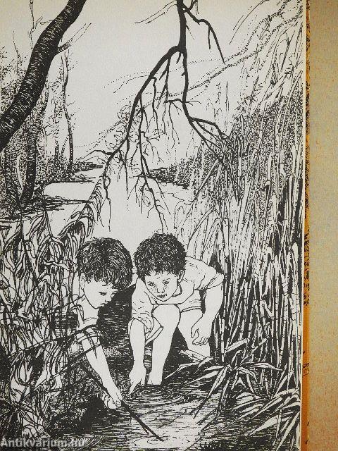 A kárókatonák még nem jöttek vissza