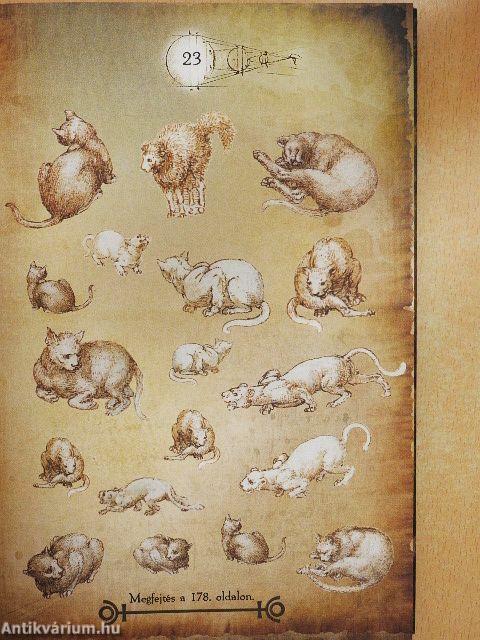 A Leonardo da Vinci-rejtvénykódex