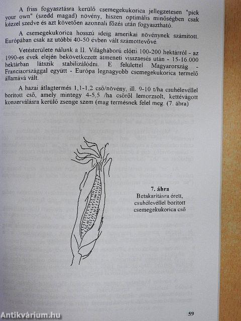 Zöldségtermesztés