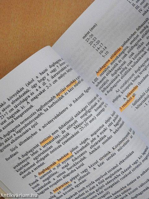 Zöldségtermesztés