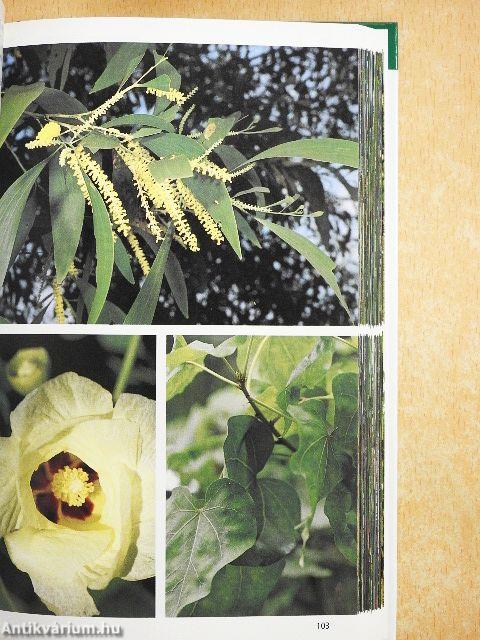 A trópusok növényei