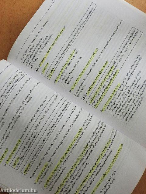 Könyvviteli alapismeretek