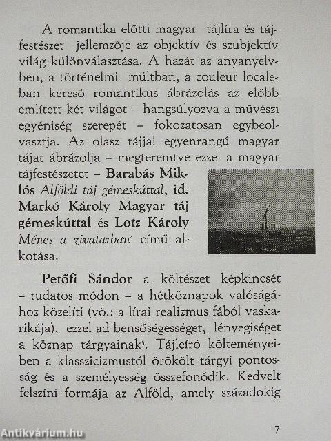 Tájköltészet és tájfestészet