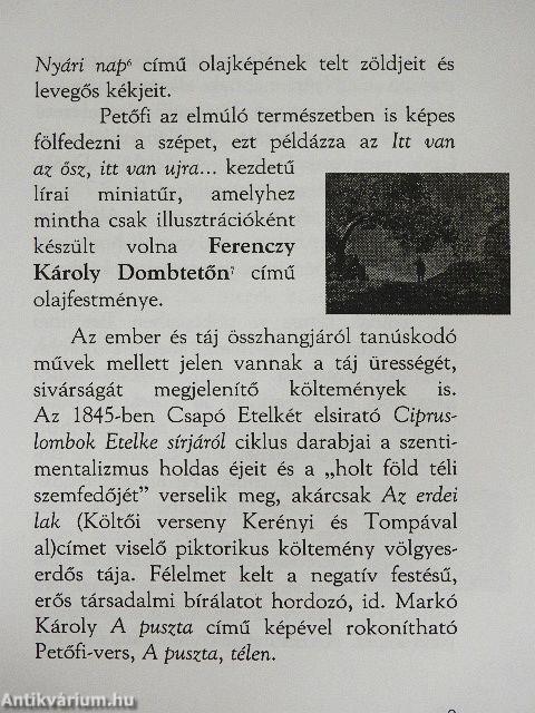 Tájköltészet és tájfestészet