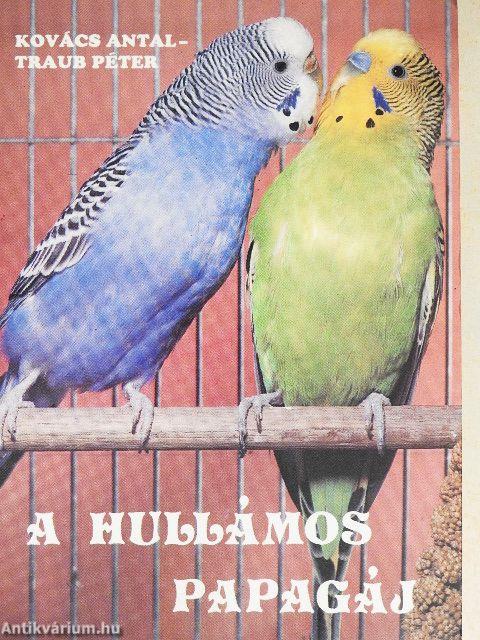 A hullámos papagáj