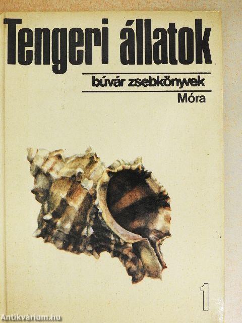 Tengeri állatok 1.