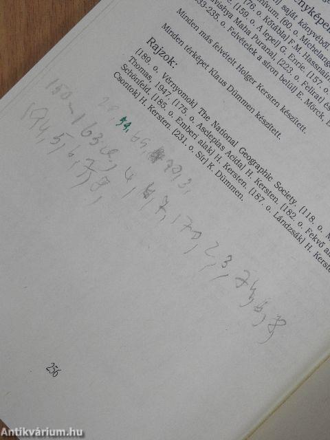 Jézus Indiában élt