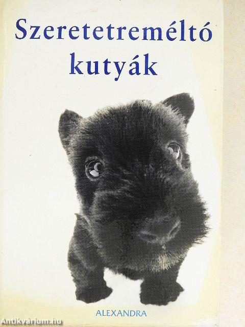 Szeretetreméltó kutyák