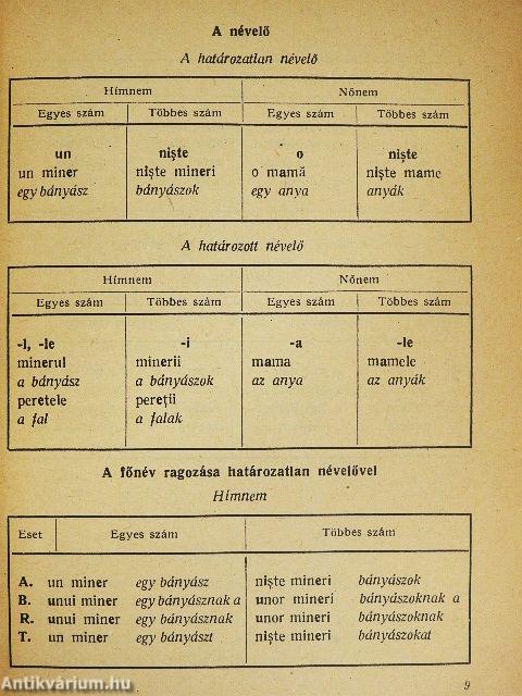 Román társalgási zsebkönyv