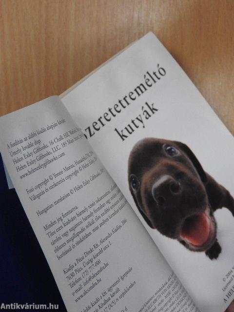 Szeretetreméltó kutyák