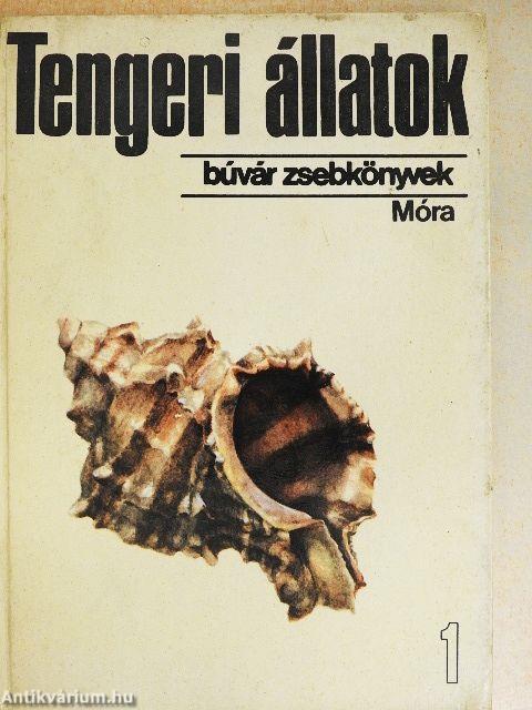 Tengeri állatok 1.