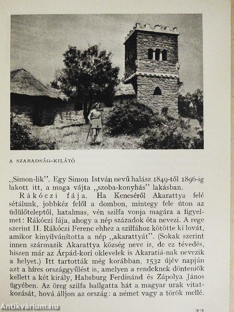 Balatonalmádi és környéke