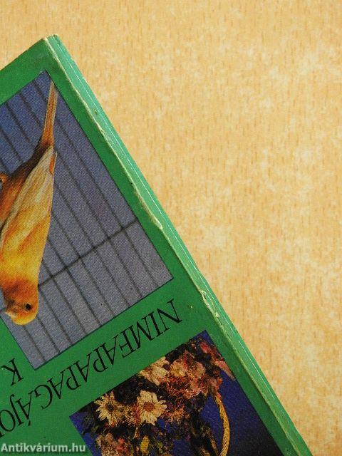 Nimfapapagájok - kanárik