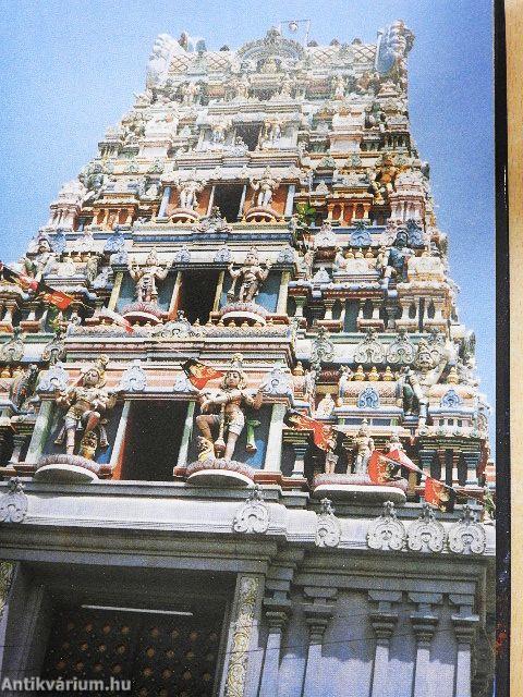 A Minden-hatók nyomában