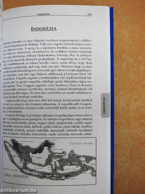 Délkelet-Ázsia legszebb merülőhelyei