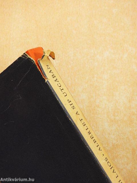 Albérlet a Síp utcában