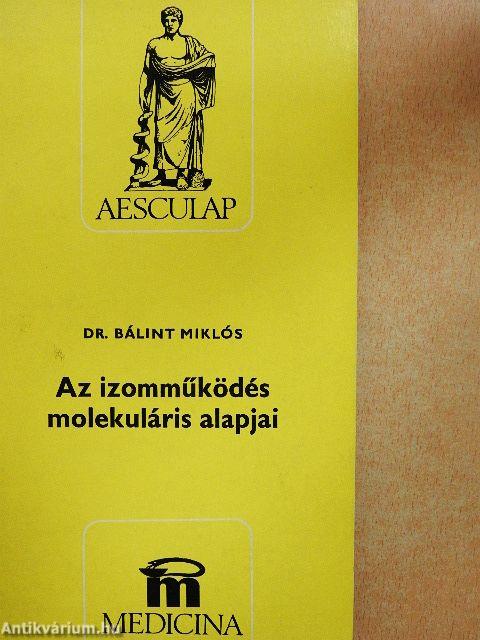 Az izomműködés molekuláris alapjai