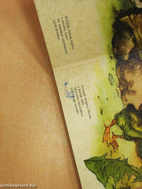 Az elveszett kisliba