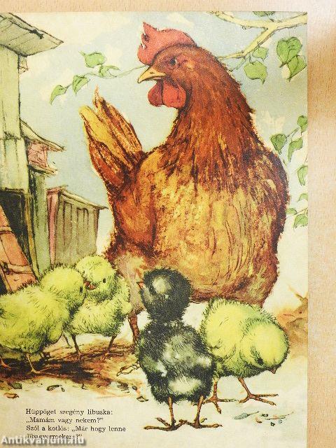 Az elveszett kisliba